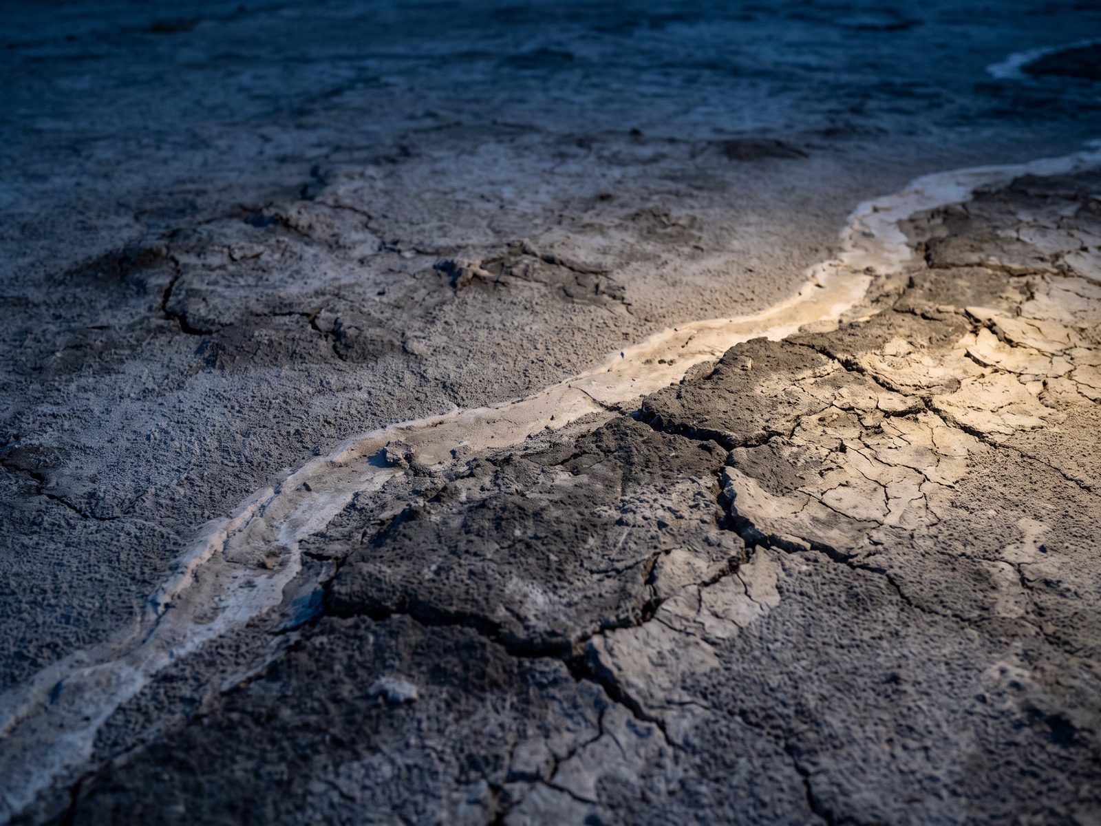 Close view of cracked dried earth and gray silt with a single pale band of mineral deposit.
